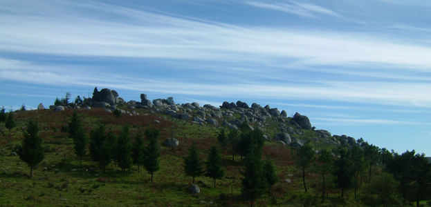 Paisagem Protegida do Corno de Bico