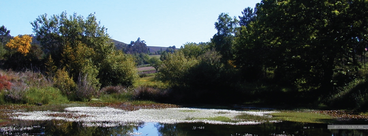 Áreas protegidas / classificadas