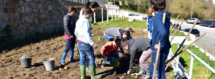 Rascunho automático 327