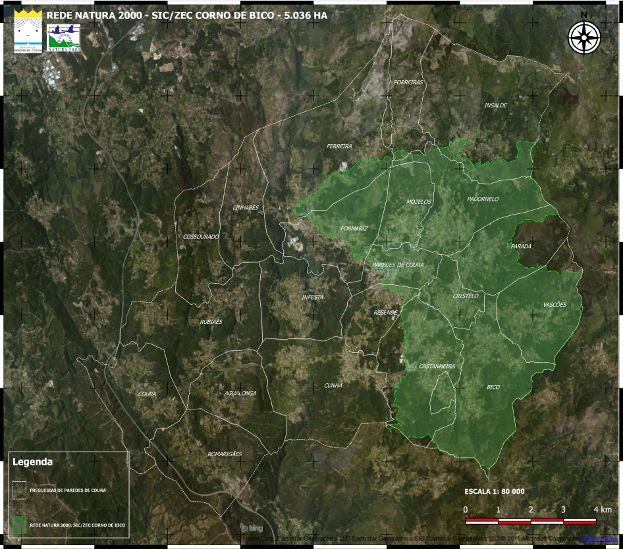 Rascunho automático 91