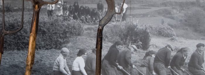 Exposição Museu Regional 1