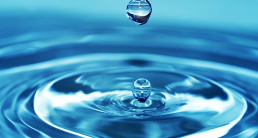 Rascunho automático 118