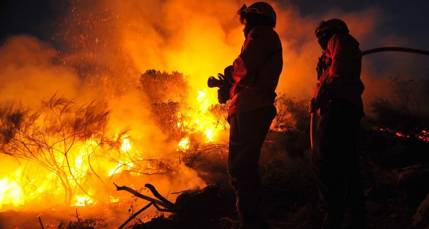 Rascunho automático 63