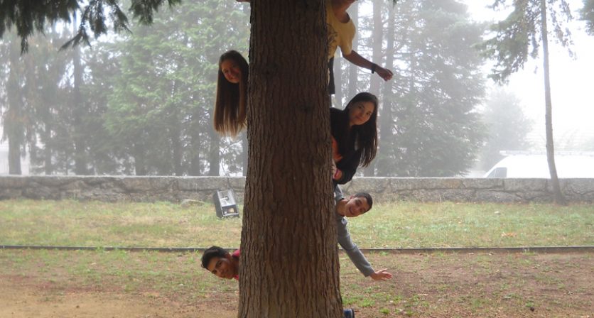 O Observatório da Paisagem
