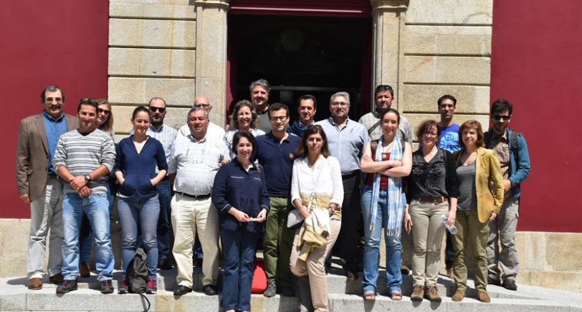 Rascunho automático 539