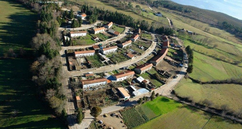 Rascunho automático 597