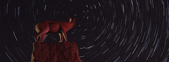 Rascunho automático 618