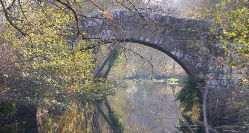 Rascunho automático 780