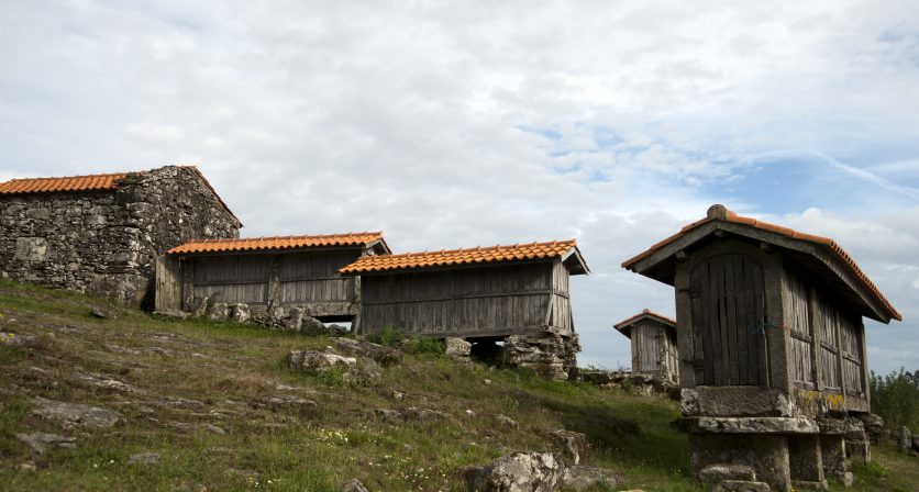 Rascunho automático 849