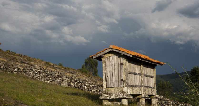 Vernadoc Camp Português 1