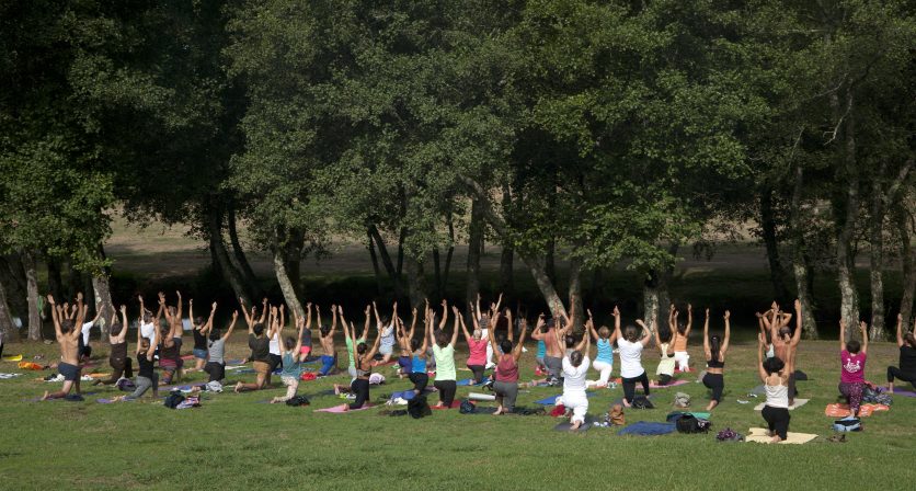 Rascunho automático 889