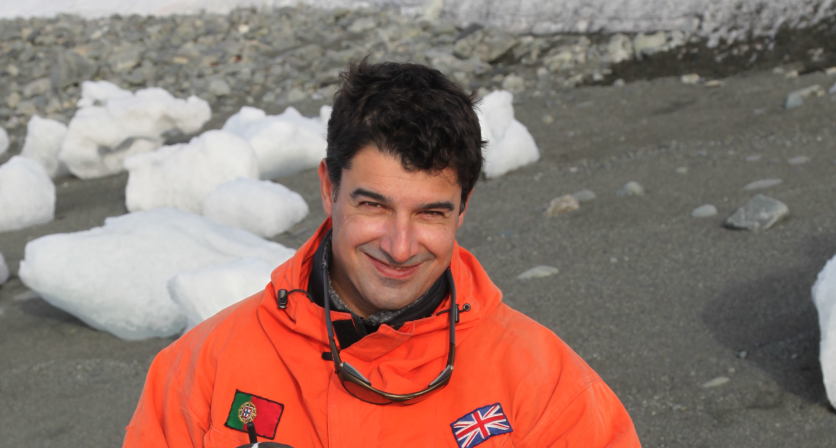 Rascunho automático 1168