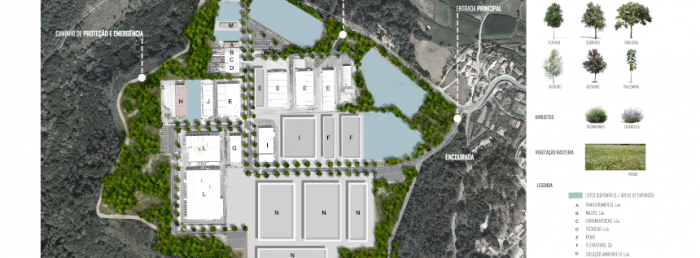 Rascunho automático 1180