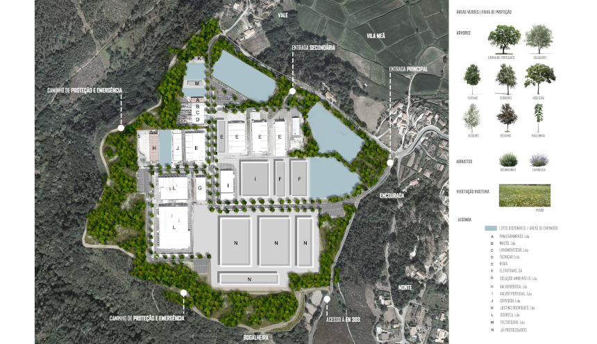 Rascunho automático 1180