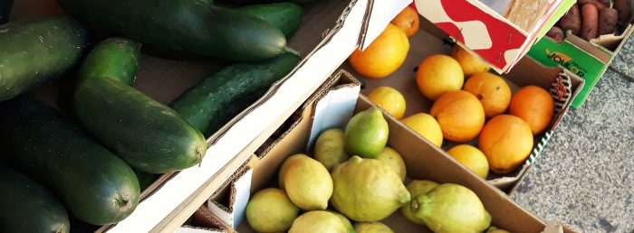 Rascunho automático 1254