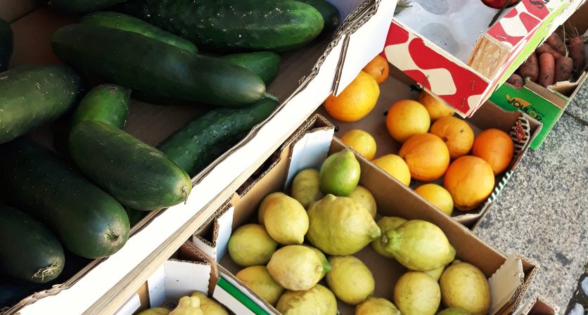 Rascunho automático 1254