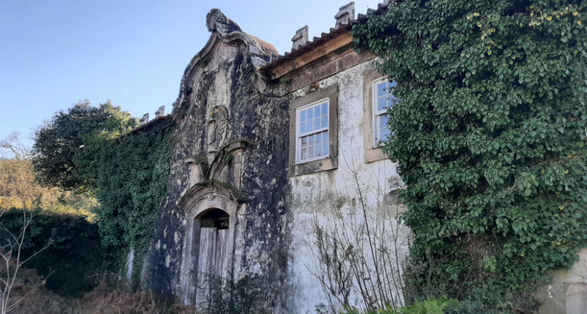 Rascunho automático 1259