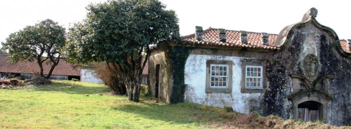 Rascunho automático 1256