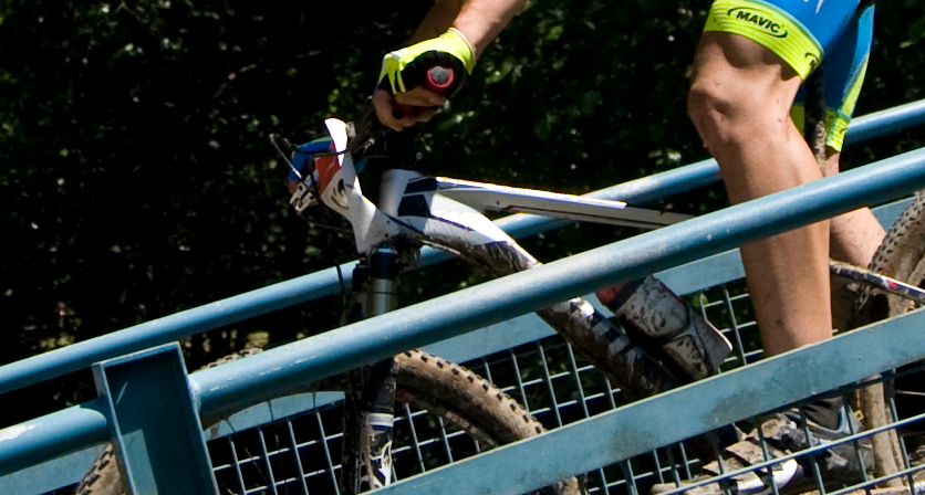 Rascunho automático 1732