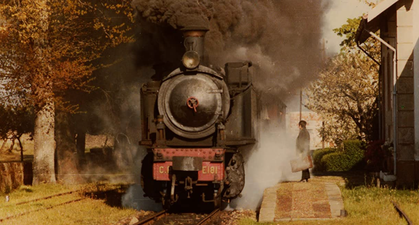 LER CINEMA COM VALTER HUGO MÃE