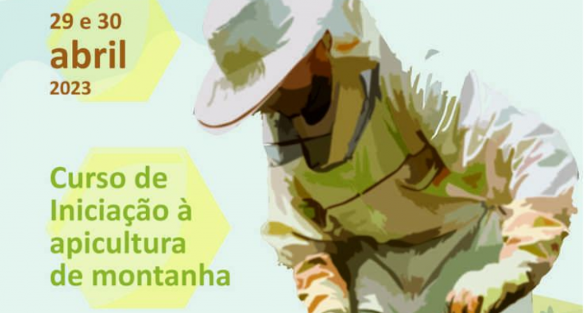 Rascunho automático 2066