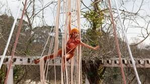 Rascunho automático 2151