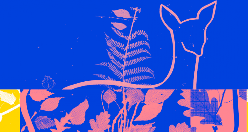 Rascunho automático 2357