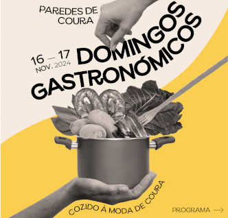 Rascunho automático 2668