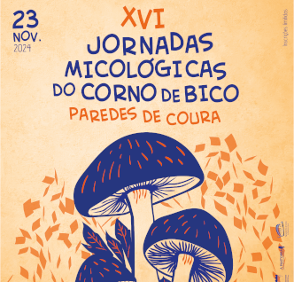 Rascunho automático 2649