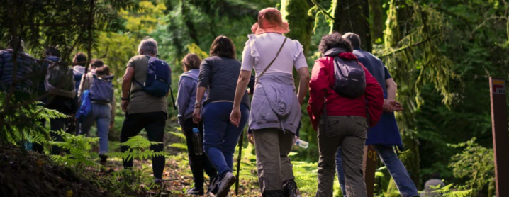 Rascunho automático 2704