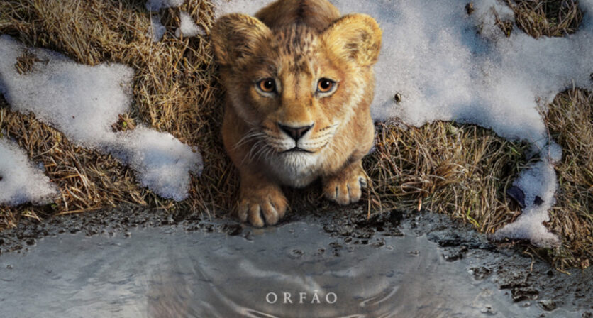 Rascunho automático 2739