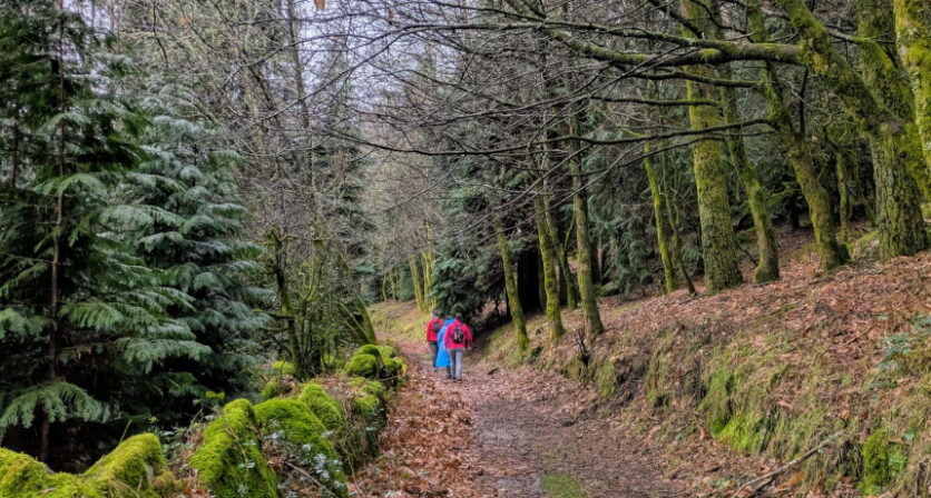 Rascunho automático 2812