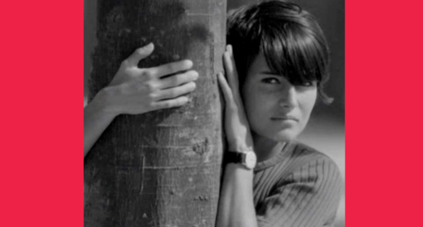 Rascunho automático 2933