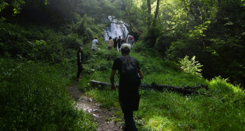 Rascunho automático 2961