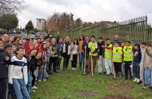 Coura aposta na preservação de variedades antigas de árvores fruteiras junto da comunidade escolar