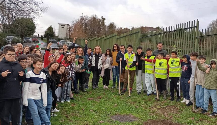 Coura aposta na preservação de variedades antigas de árvores fruteiras junto da comunidade escolar