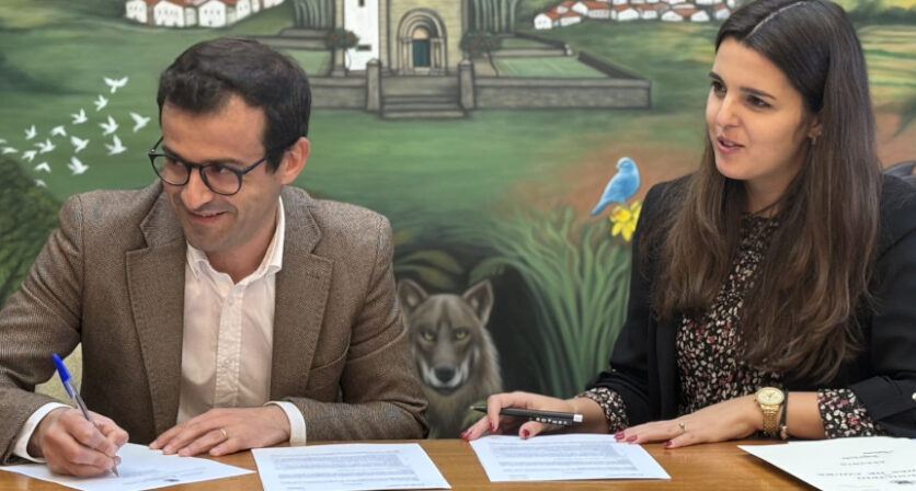 Rascunho automático 3178