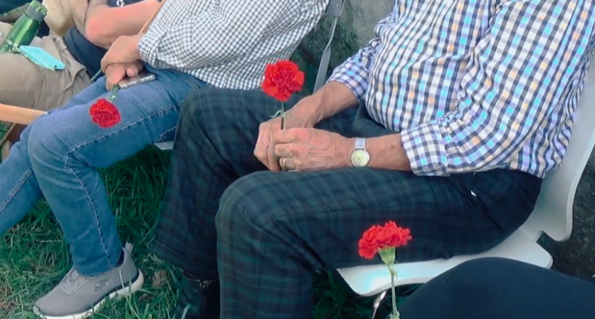 Rascunho automático 3240