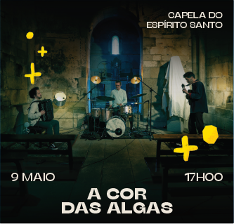 Rascunho automático 3254
