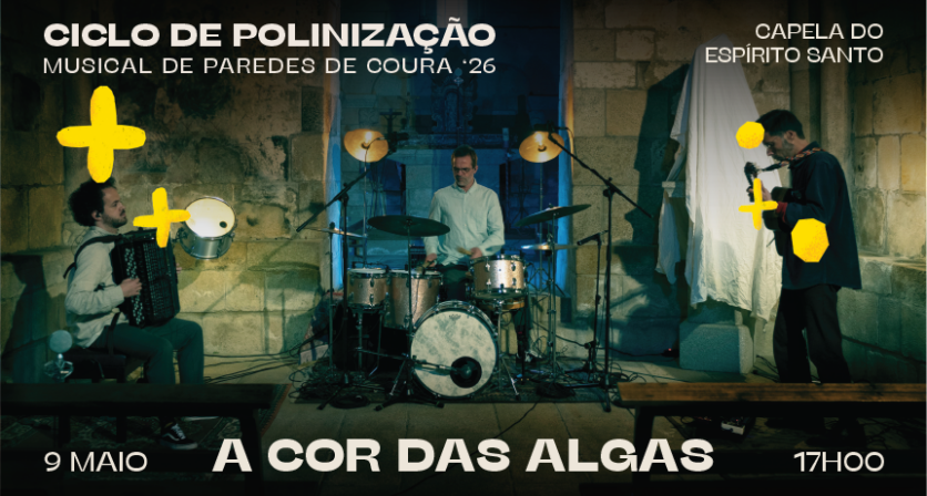 Rascunho automático 3255