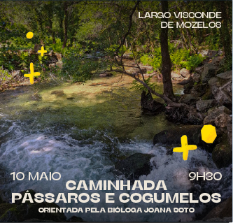 Rascunho automático 3258
