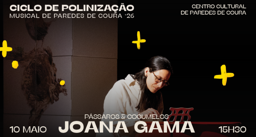 Rascunho automático 3262